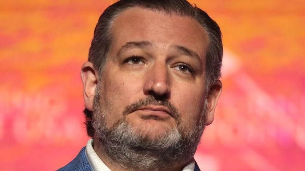 Watch: Ted Cruz bemoans Trump indictments in Senate clash over presidential immunity