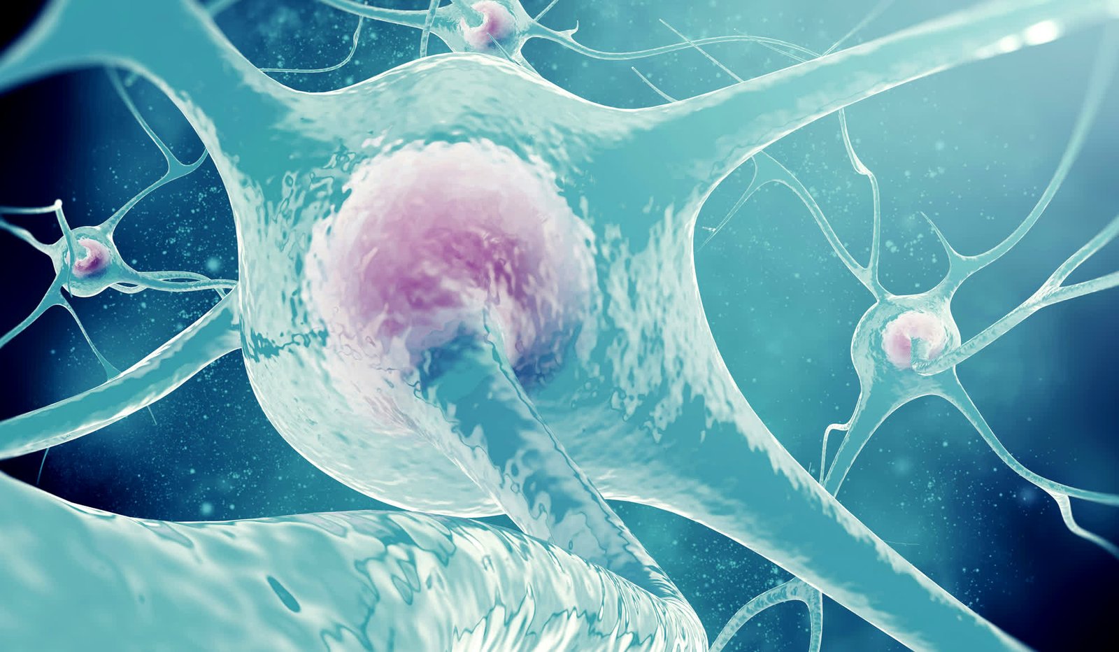 Environmental factors and personal behavior can affect brain activity for up to two weeks