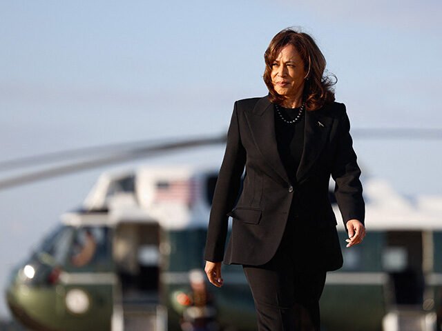 Left-Wing PAC Makes Cringey 'Man Enough' Ad to Bring Male Voters to Kamala -- and It Backfires Terribly