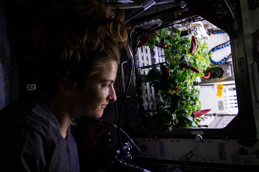Tech Today: Spraying for Food Safety