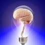 Indicators of an aging brain: A 20-year study