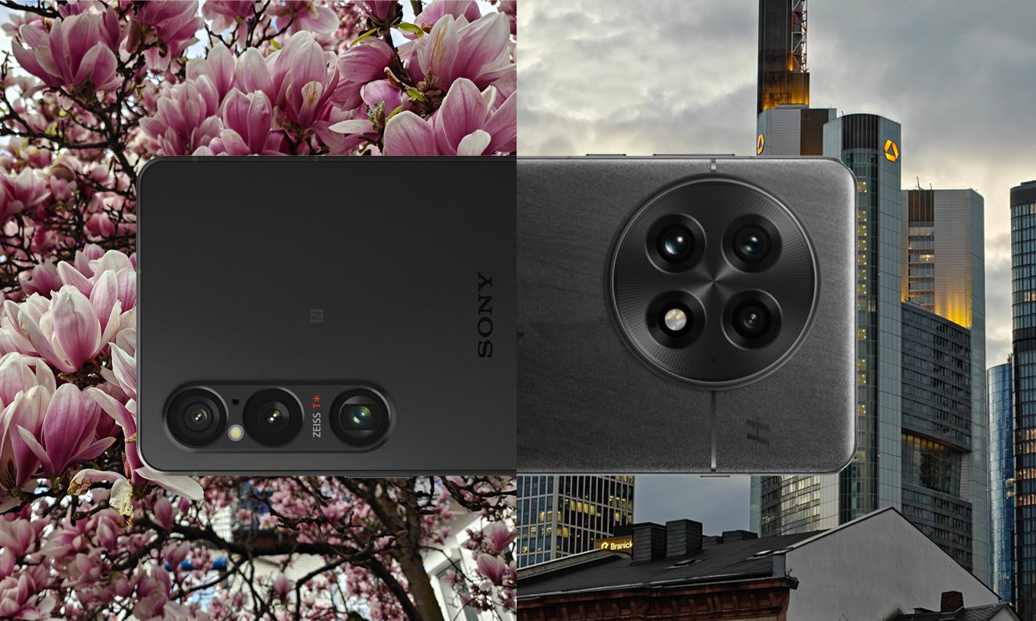 Sony Xperia 1 VI vs. OnePlus 13: The big camera comparison for travel photographers (Frankfurt, Würzburg, Middle Rhine)
