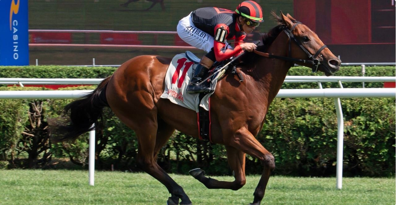 HORSE RACING: Spirit of New York returns to state-bred company in Bertram F. Bongard