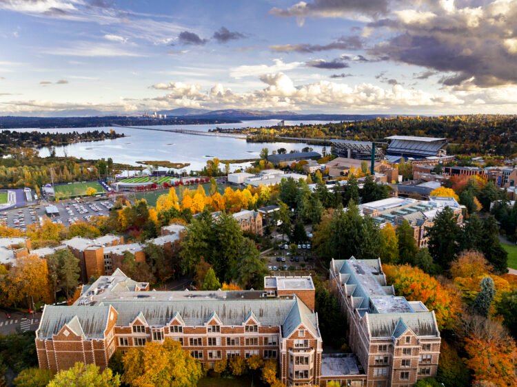 Social media highlights: UW News 2025