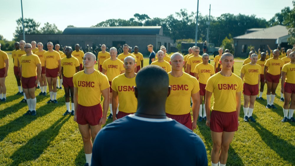 Netflix Cancels Several Shows After Only 1 Season