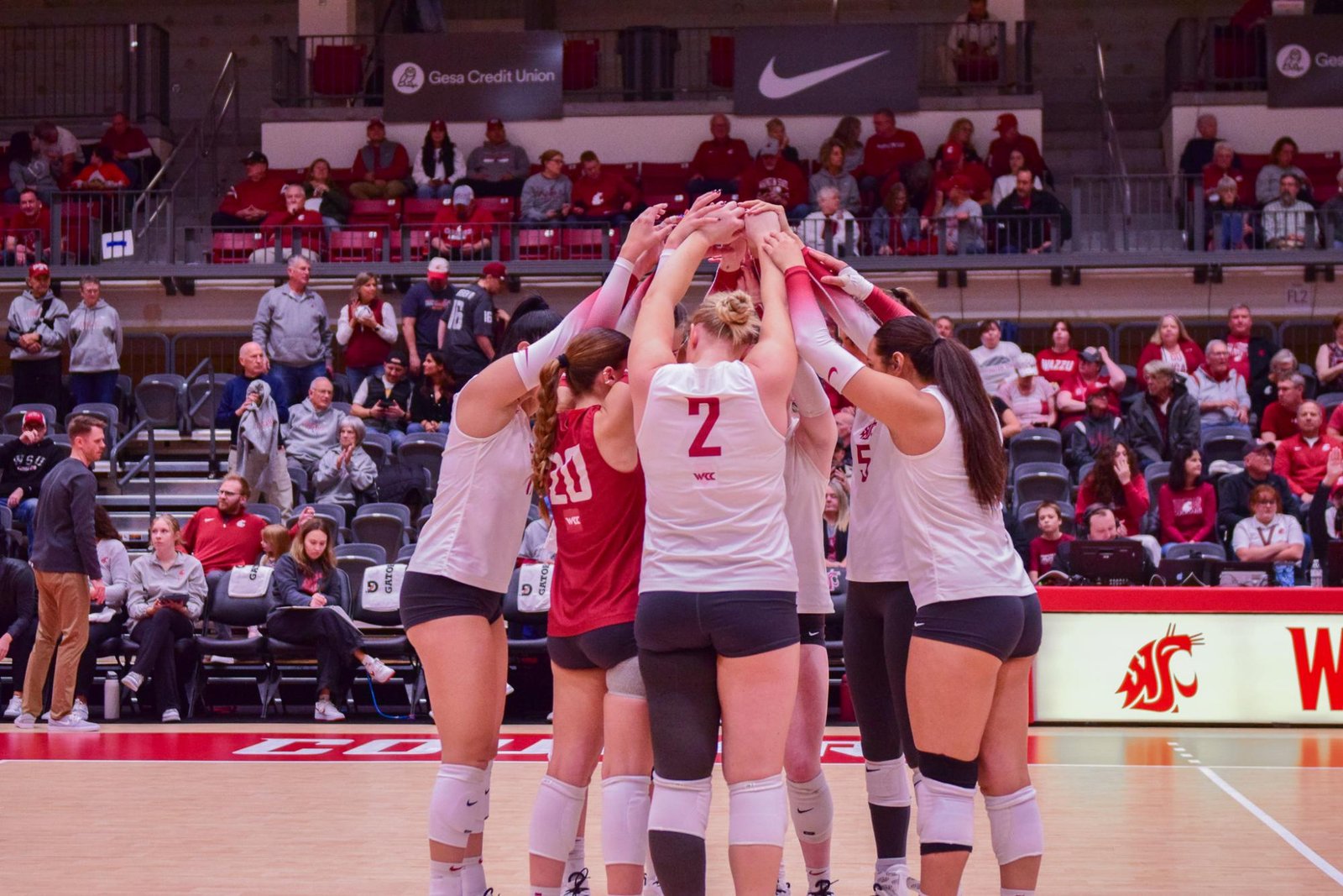 Volleyball associate head coach Jason Ruppelt departs from WSU