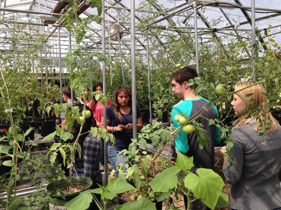 Happening Saturday: Annual Mothers Day Student-Grown Plant Sale at The Greenhouse Project