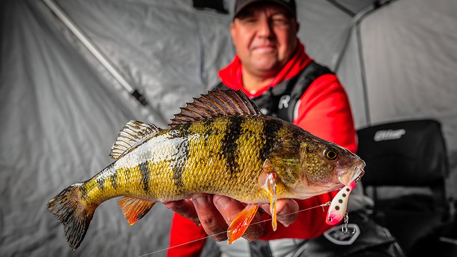 EXEC: Rapala VMC Posts 20 Percent Comp Exchange Growth in North America in Q1