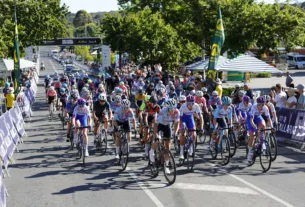 AKfLG2RLgFgGP4ApVYg4gR