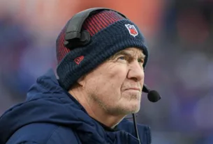 bill belichick