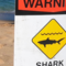 shark warning