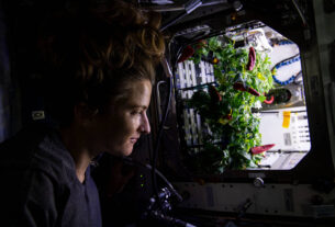 iss066e084293