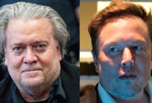 Bannon Musk