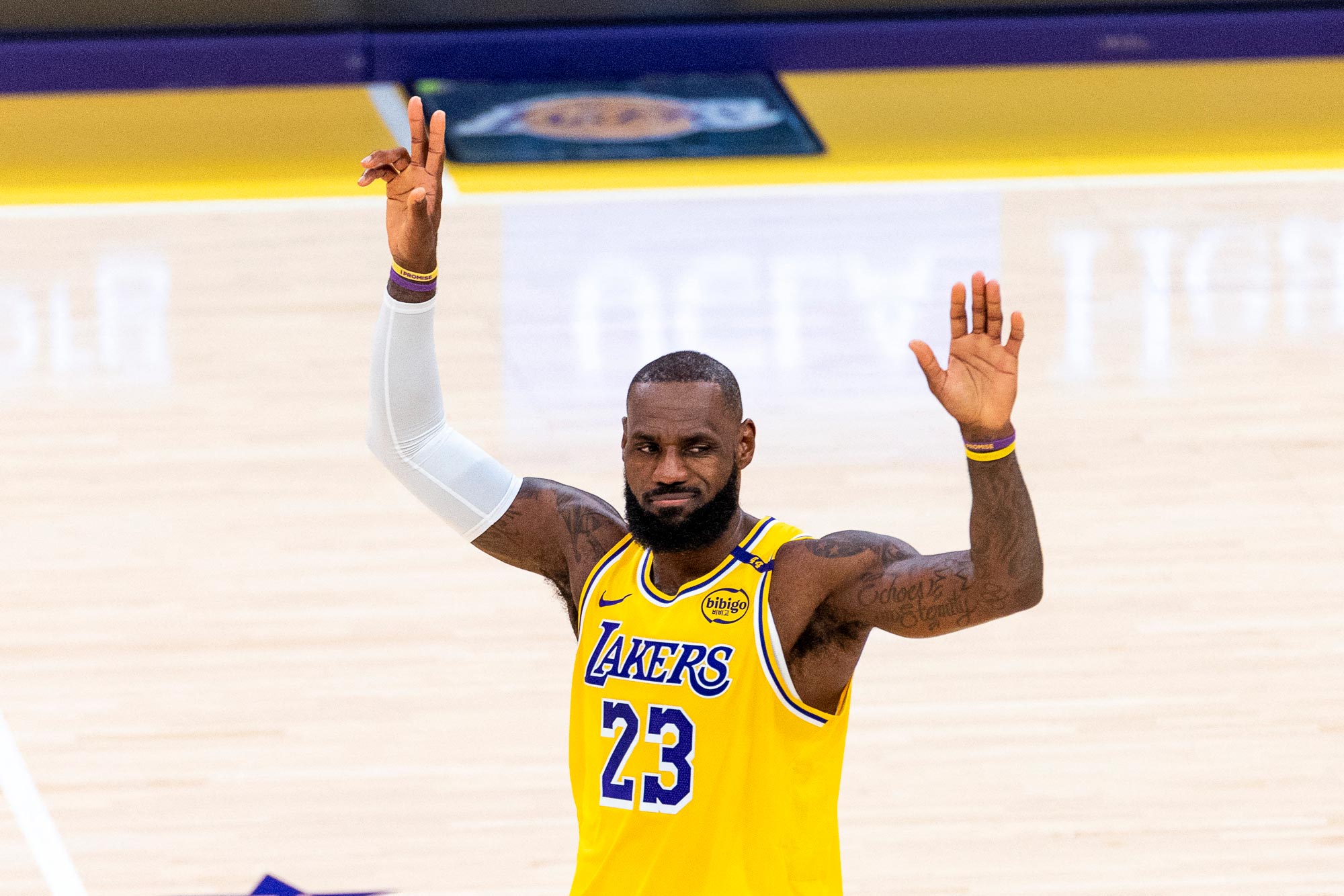 LeBron James Has Adorable Moment With Young Fan After She Breaks Down in Tears Courtside 6132