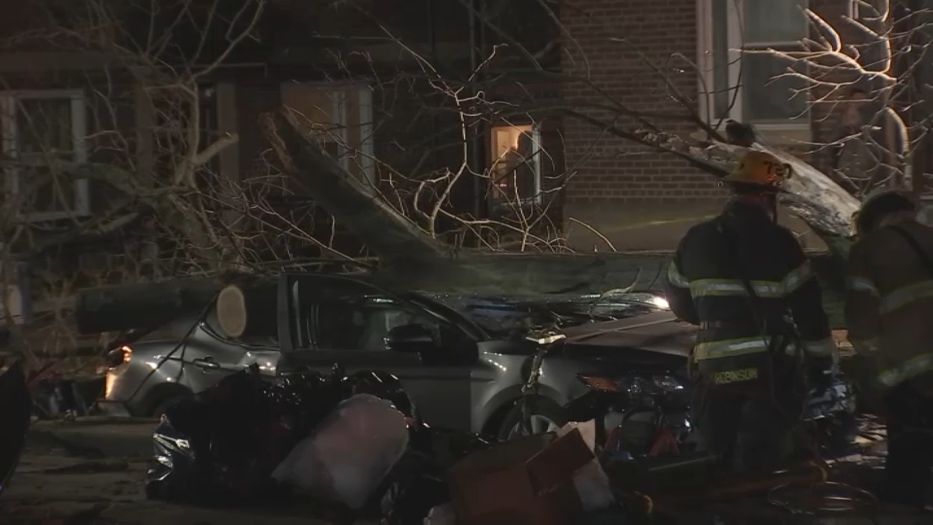 Tree on car Northeast Philadelphia