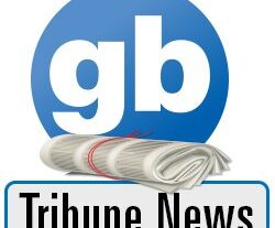 gbtribune news 23 phxtKgi.max 540x540