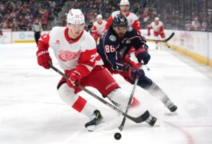 NHL Stadium Series Detroit Red Wings Columbus Blue Jackets Getty Featured