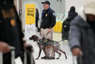musk tsa dogs