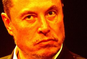 elon musk lost it call autopilot killed driver