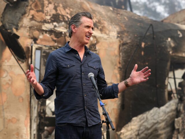 Gavin Newsom wildfire Associated Press