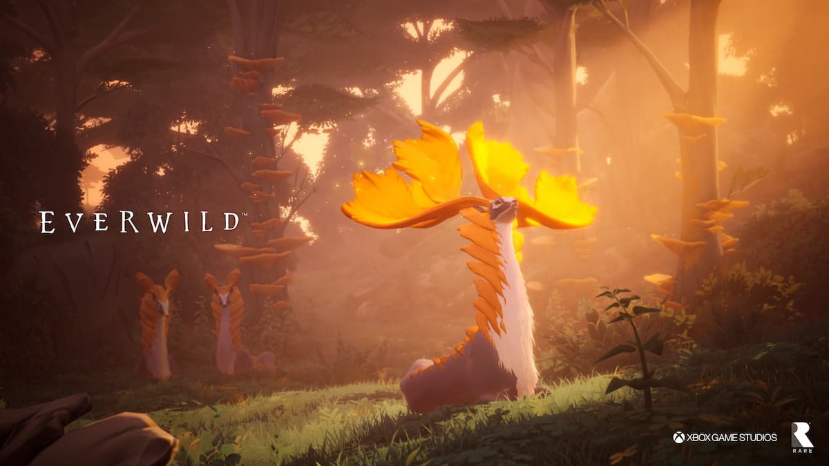 everwild 1