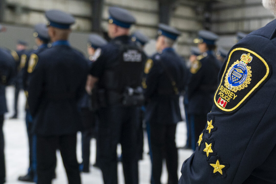 id5885773 2c3815f2 e8bf 4d62 bd1d e3f0f791447a