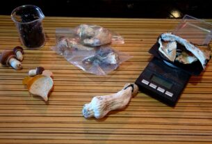 psilocibin mushrooms aging study