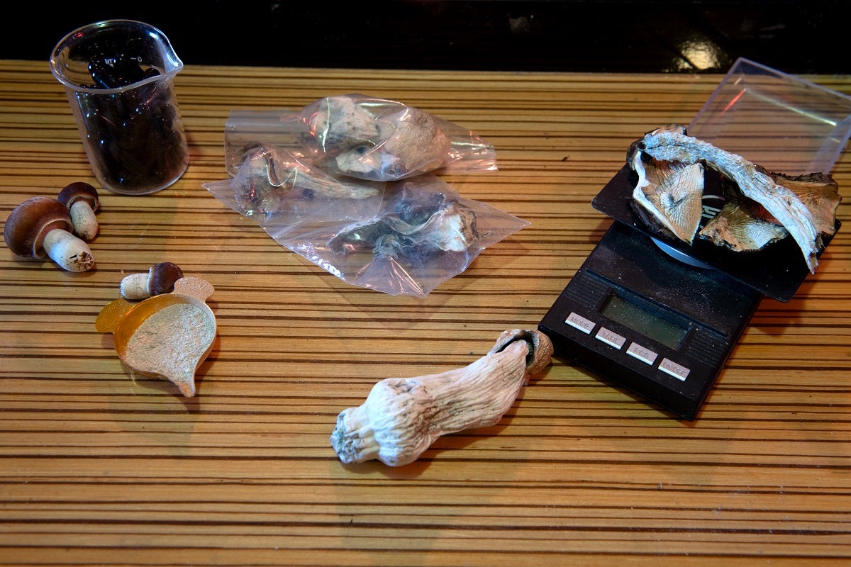 psilocibin mushrooms aging study