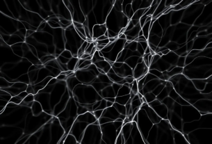 clear motion aware neural field reconstruction showing sharp dynamic recovery w7dx7666scobsxrmh64l98q6