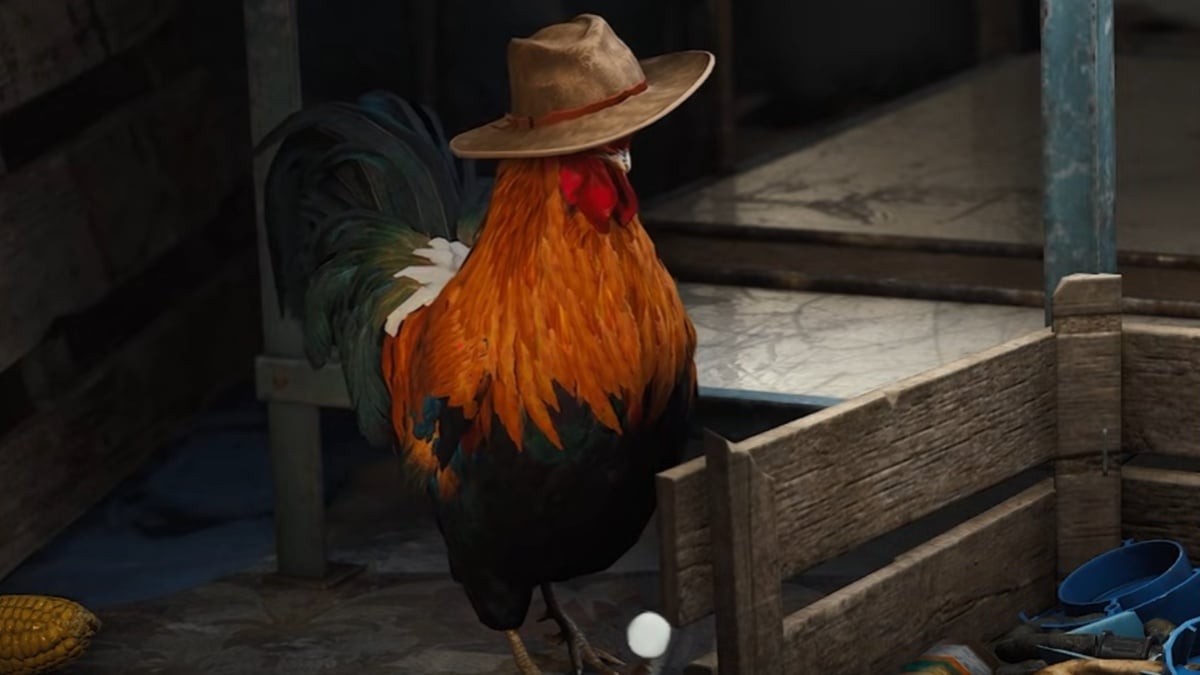 MixCollage 31 Oct 2025 12 57 PM 3611