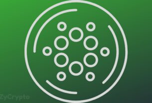 cardano leads large cap gains outpacing bitcoin and xrp but can it keep up