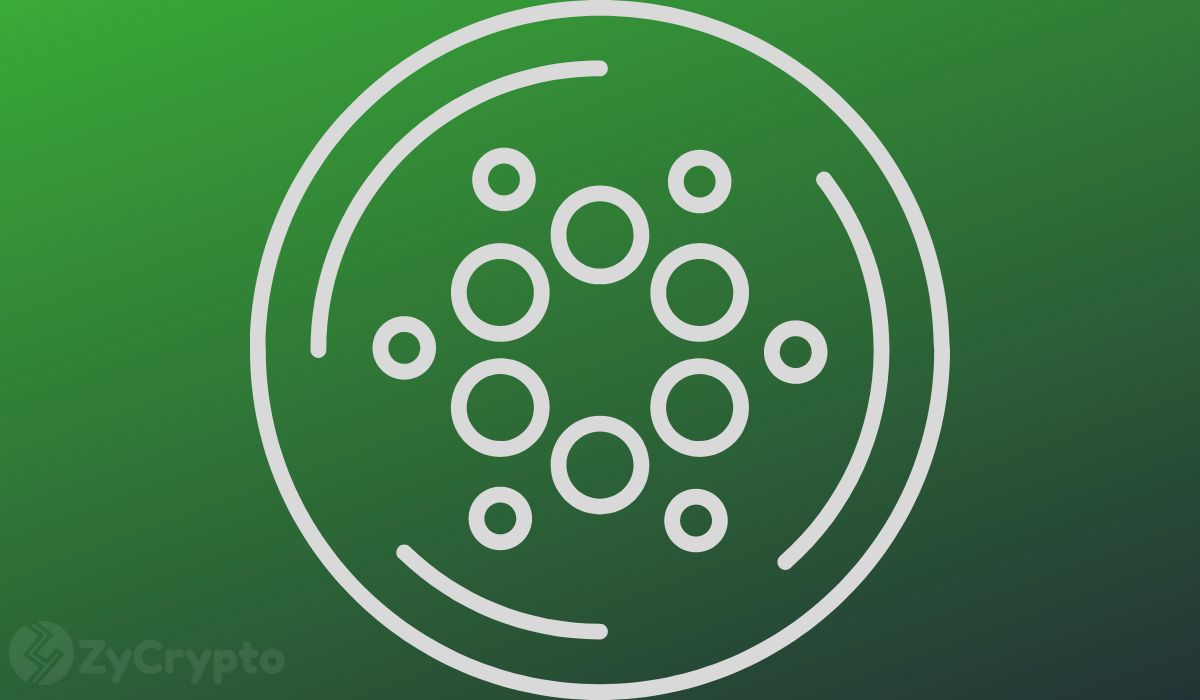 cardano leads large cap gains outpacing bitcoin and xrp but can it keep up