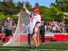 SmE Lax 6 1 scaled
