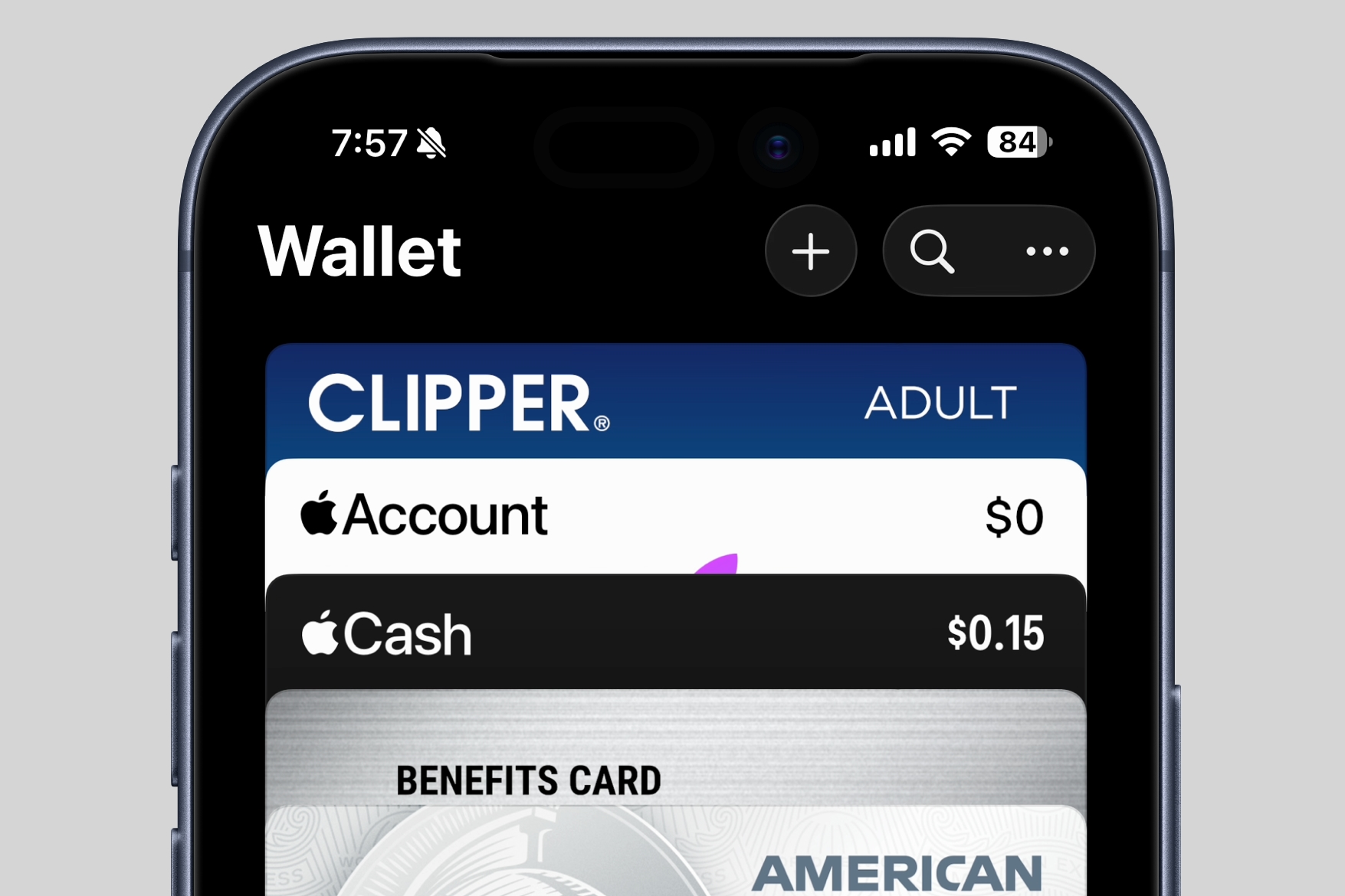 apple wallet