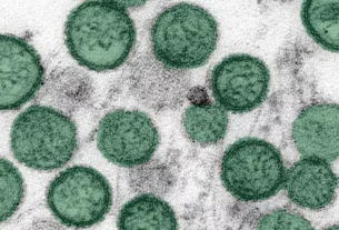 colorado resident dies from hantavirus infection h colorado resident dies from hantavirus infection h 502456F1B9215479F67D5A6E26937D79