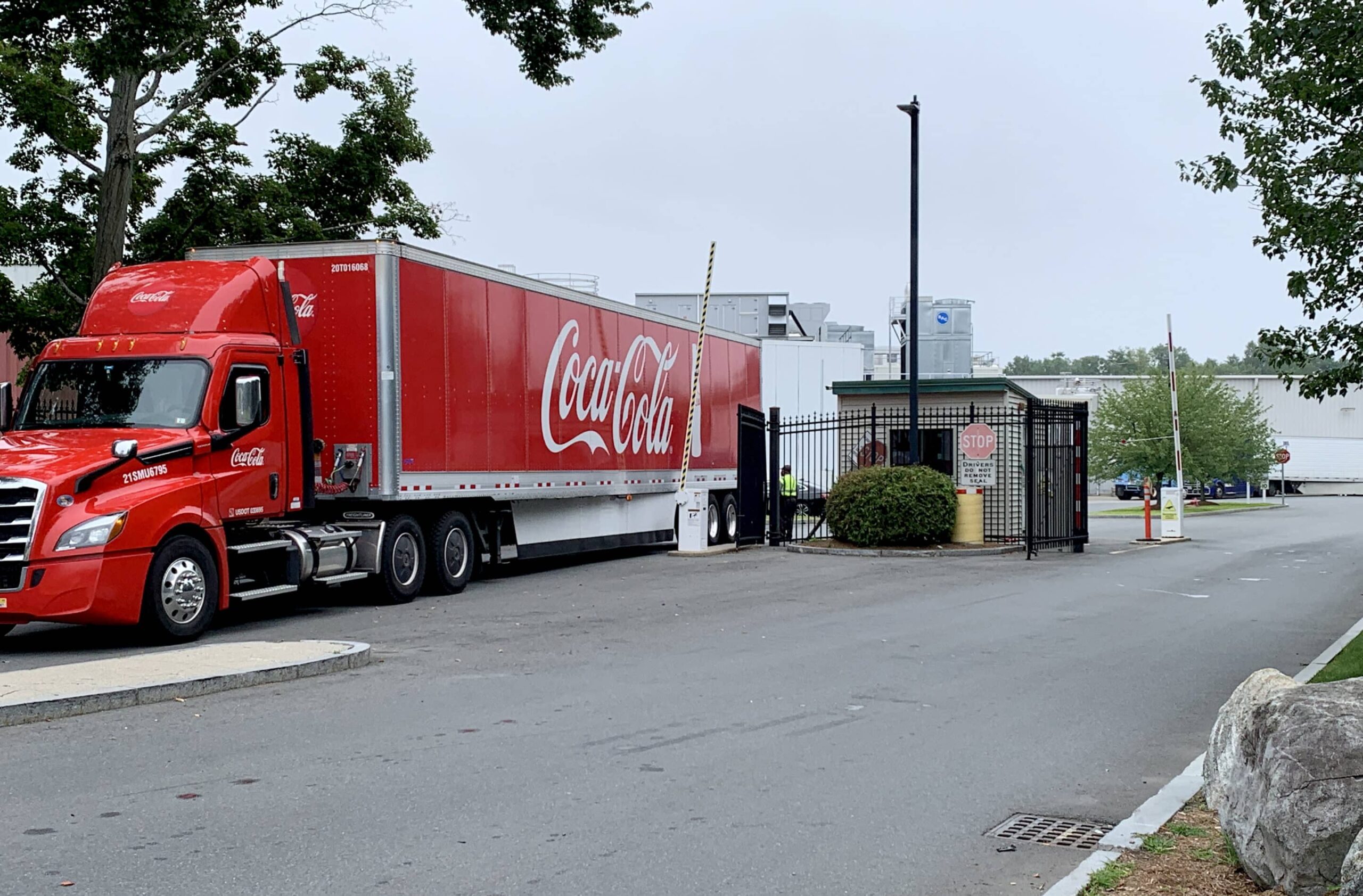 Noho coke pic scaled scaled