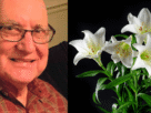Copy of ObitTemplate 39